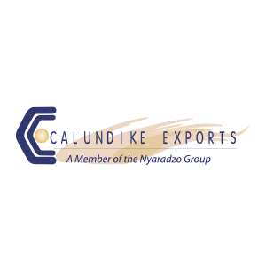 CALUNDIKE TECHNOLOGIES